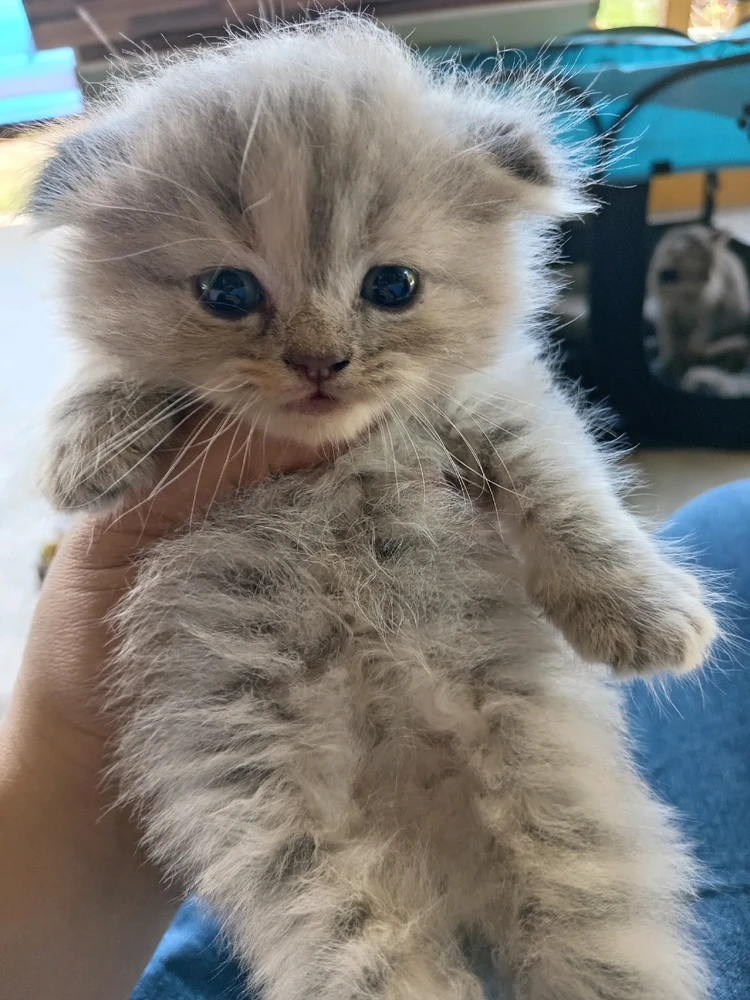 Image uploaded by 2409sue