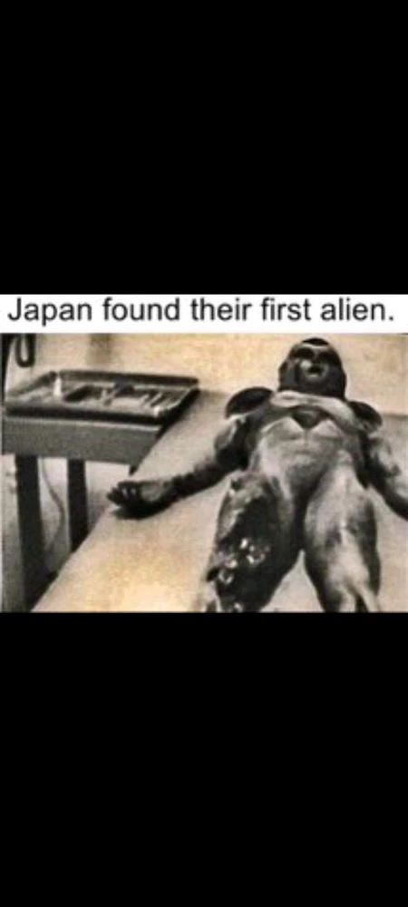 Immagine caricata da Francesco