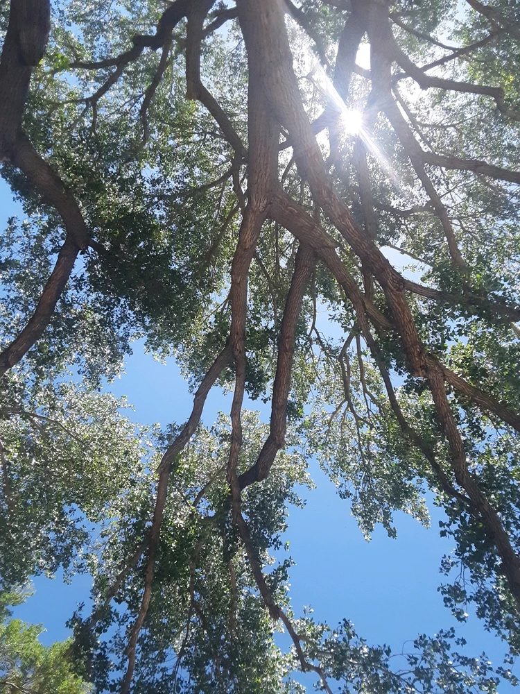 Bild hochgeladen von Darrell