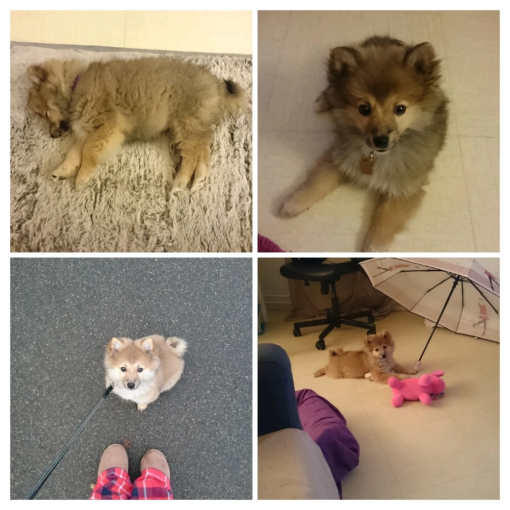 Image uploaded by Katia