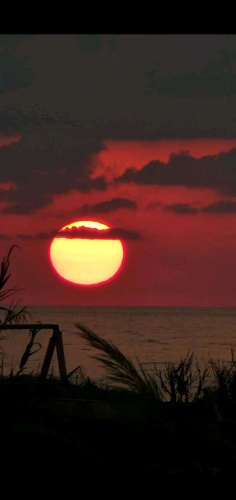 Image uploaded by 𝓚𝓪𝓲 🪽