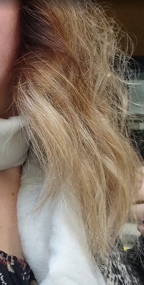 Immagine caricata da Sari