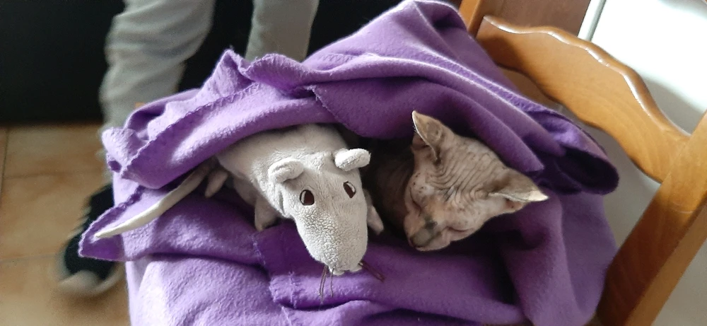 Image ajoutée par Seb