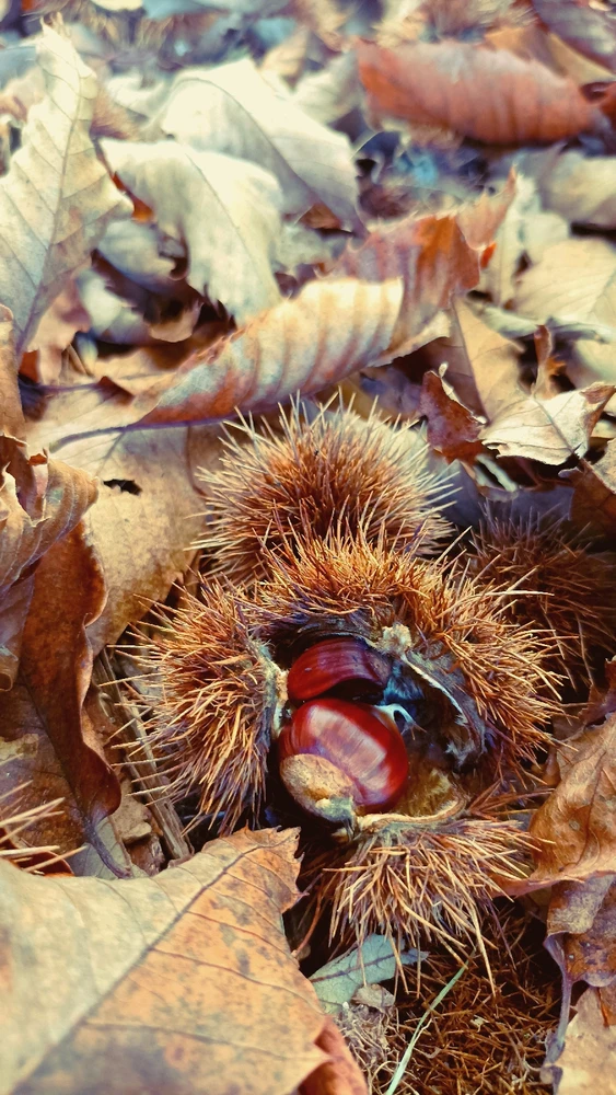 Immagine caricata da Giulio