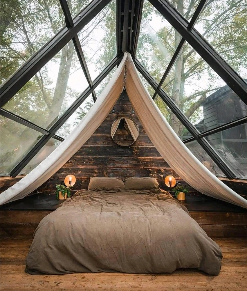 Image uploaded by Hayley