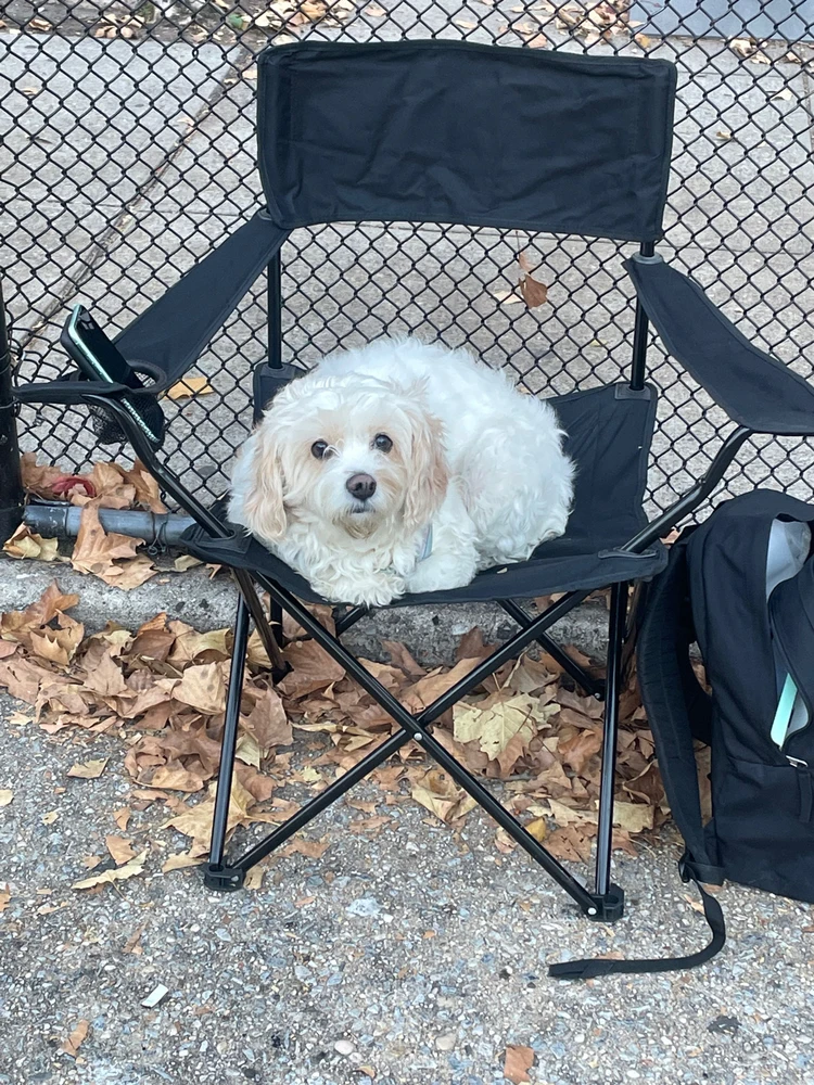 Image uploaded by QuietBunny