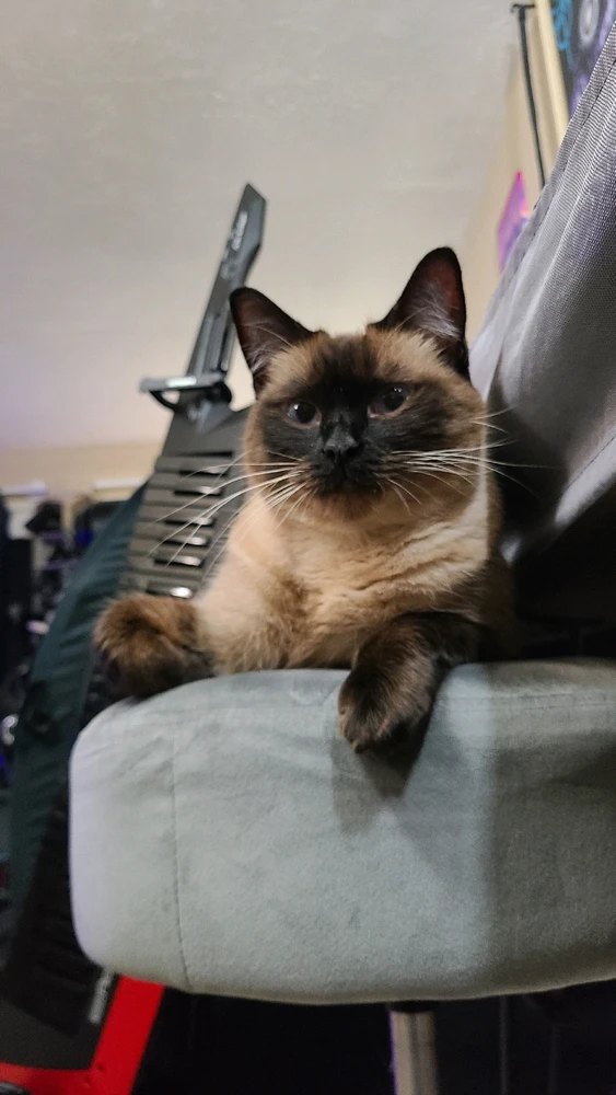 Image uploaded by Charlie