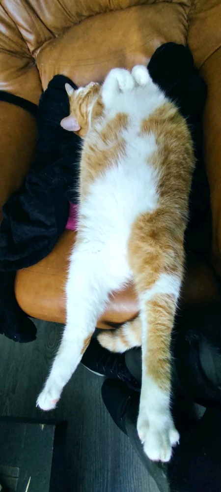 Image ajoutée par Arnaud