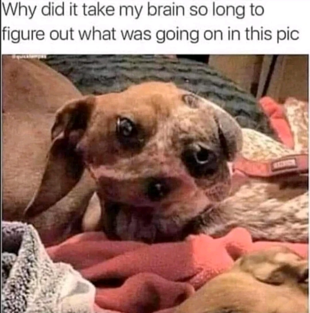 Gambar diunggah dening Arm W. 🇹🇭