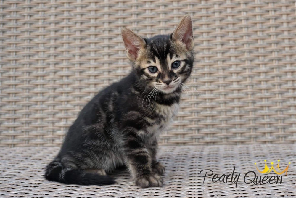 Obrázek nahrál Niky