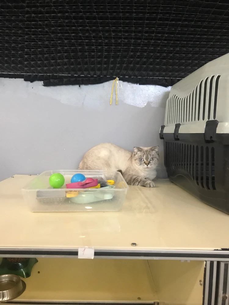 Dergah tarafından yüklenen görsel