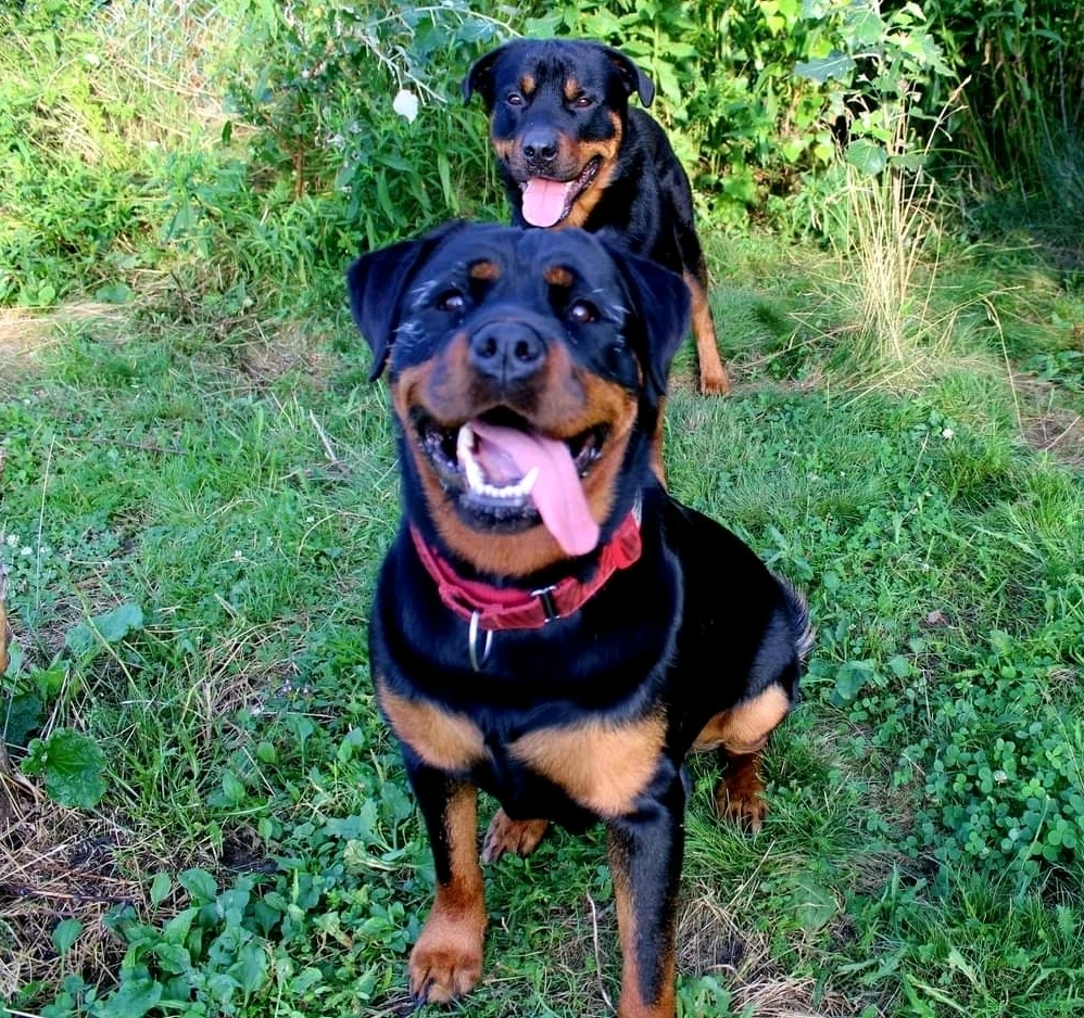 Image uploaded by Kayla