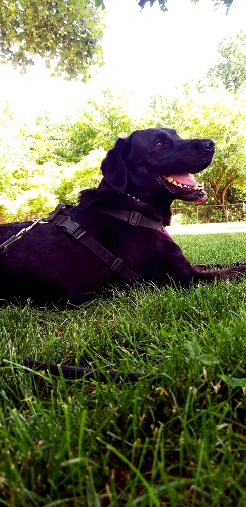 Image uploaded by Yaara