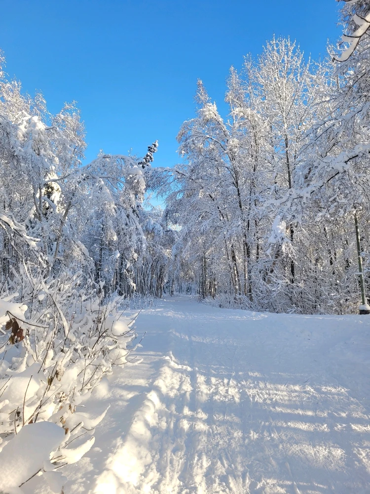 Image uploaded by Shameless