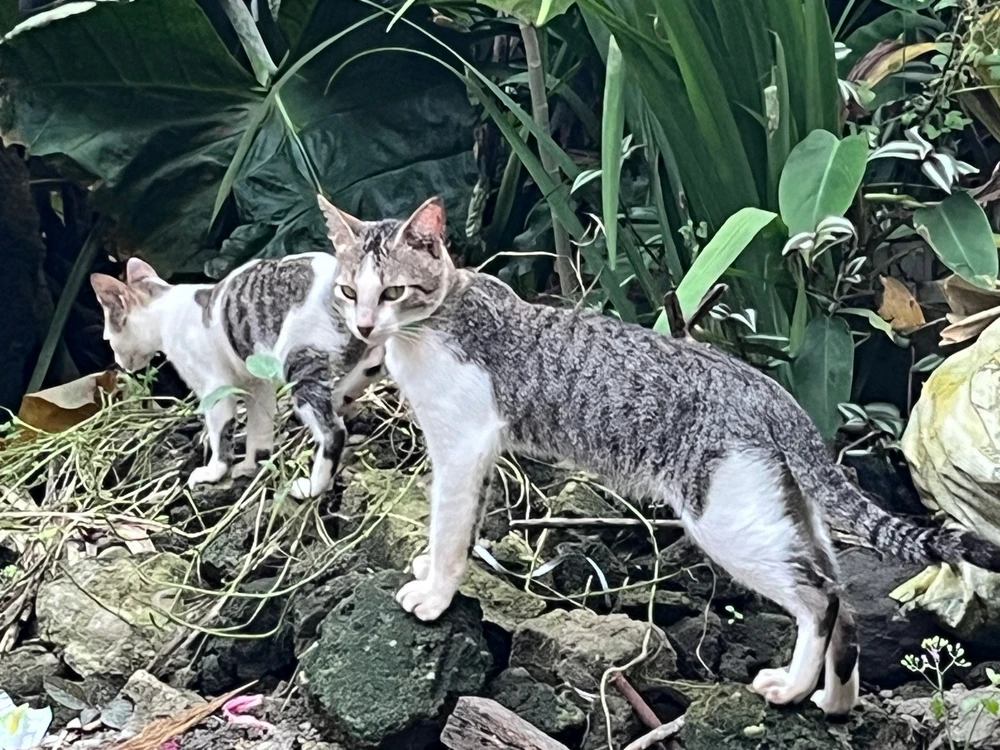 Image uploaded by Roz