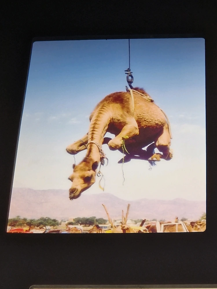 Image ajoutée par Zizou