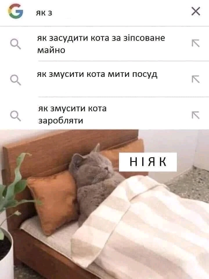 Зображення завантажив Влад