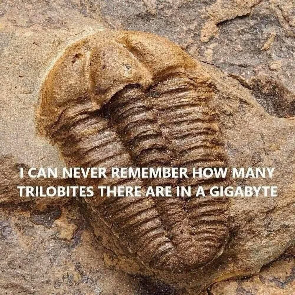 Image uploaded by Brian