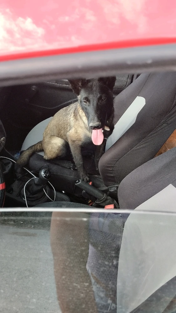 Imagen subida por Alba