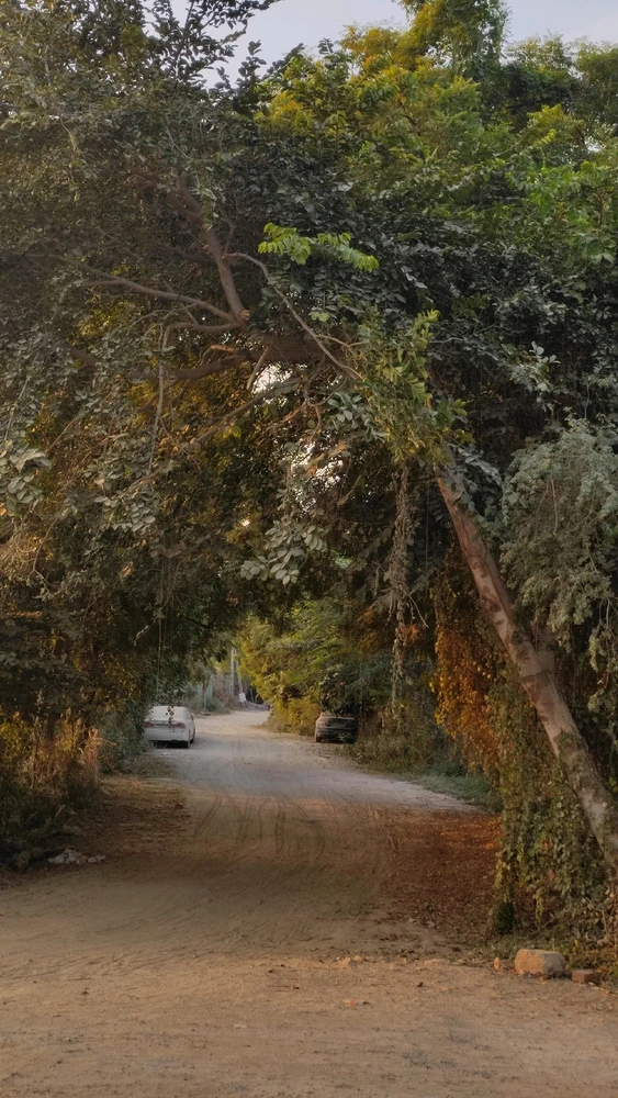 Image uploaded by Khushi