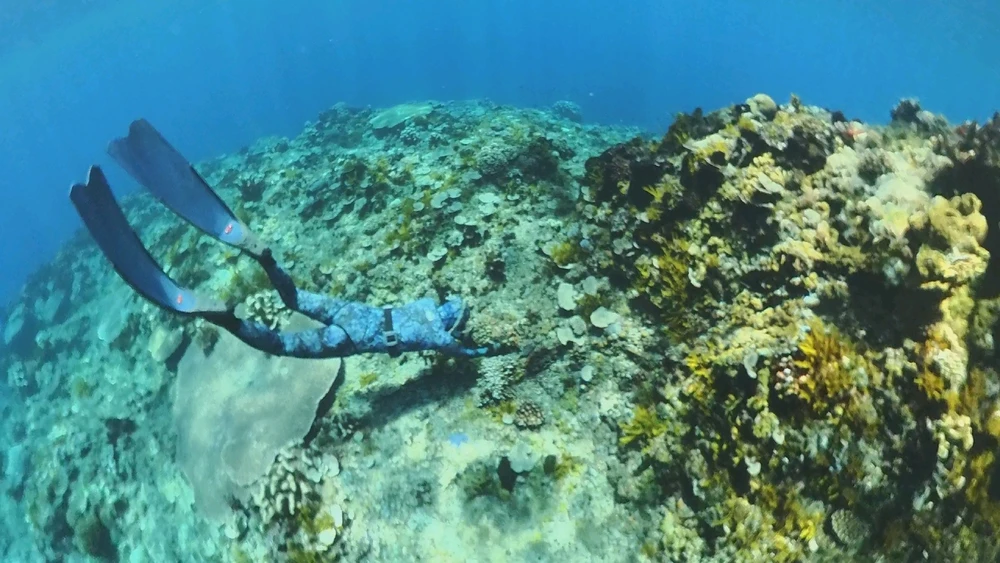 Image uploaded by Angel Dymph