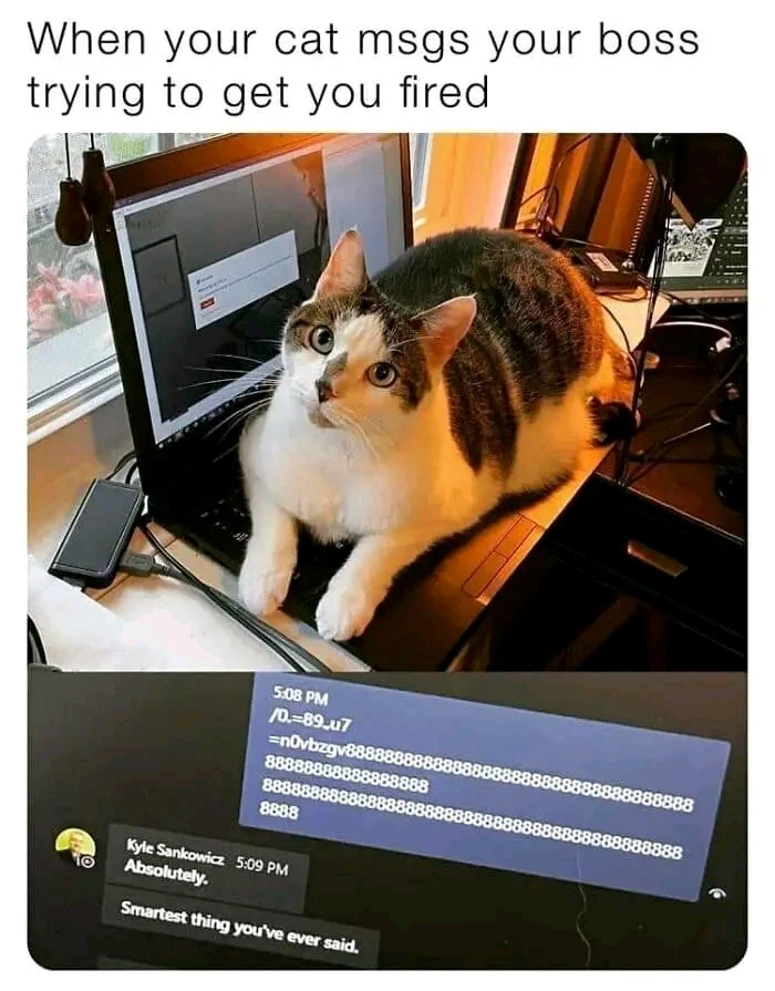 meh上傳的圖片