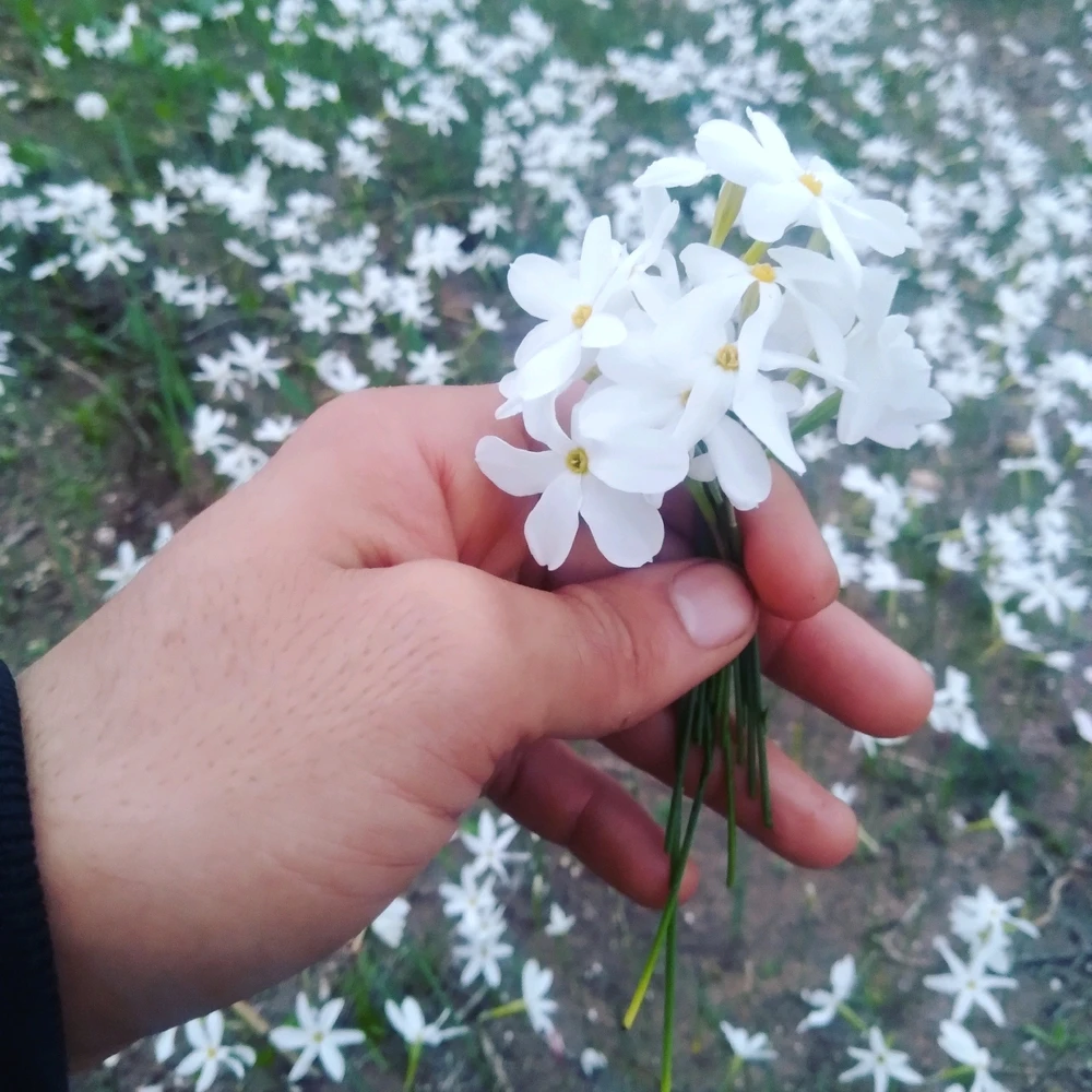 Image ajoutée par AMIN