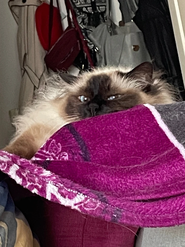 Bild hochgeladen von Dani