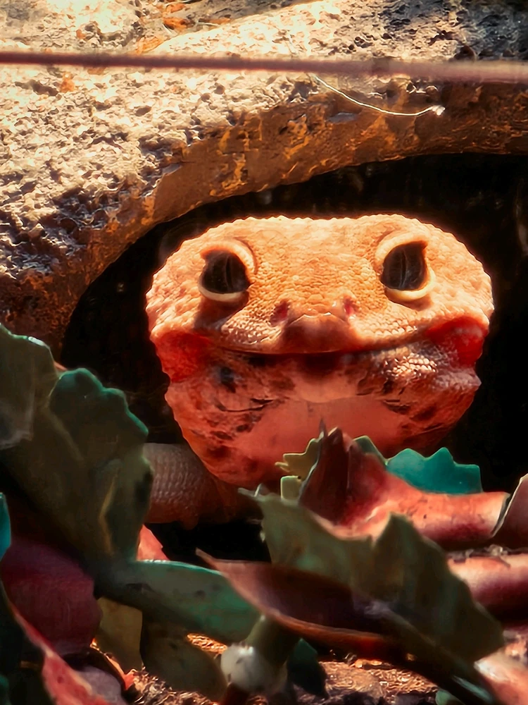 Image uploaded by Sarah