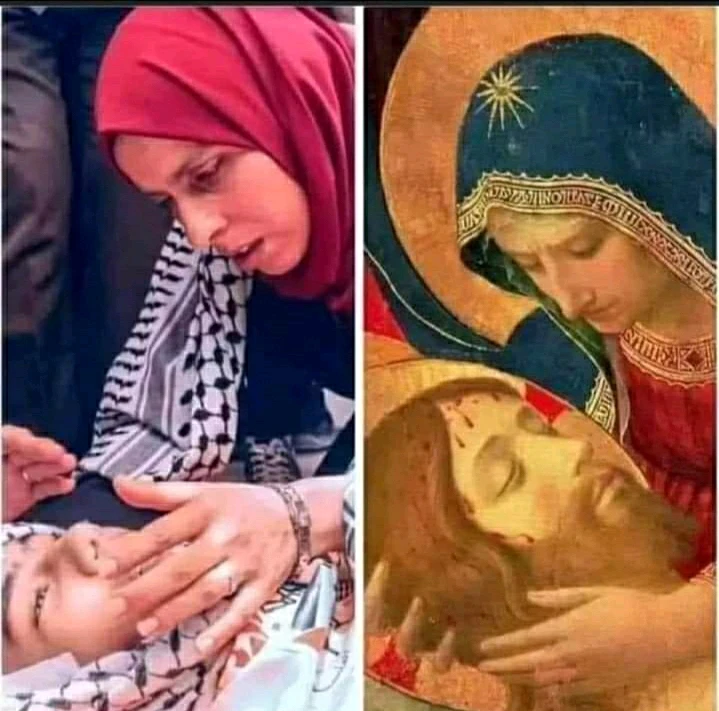 صورة رفعها maboo