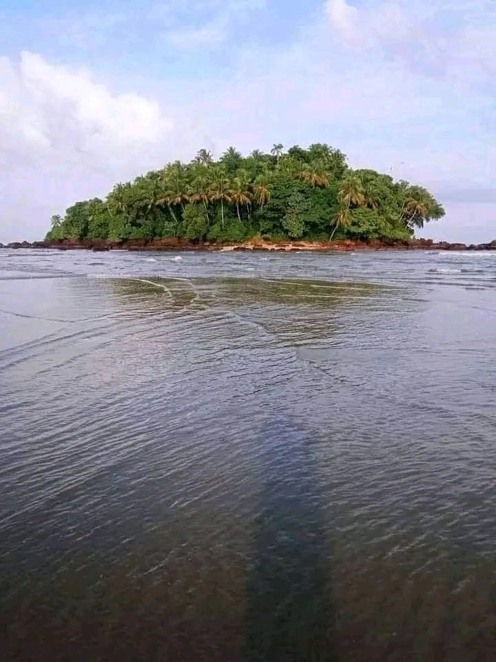 Image uploaded by Rohan