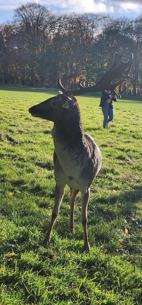 Imagen subida por Anto