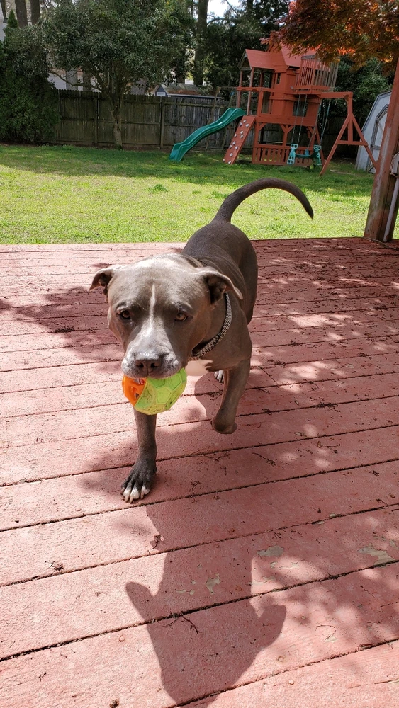 Gambar diunggah dening Michael (MJ)