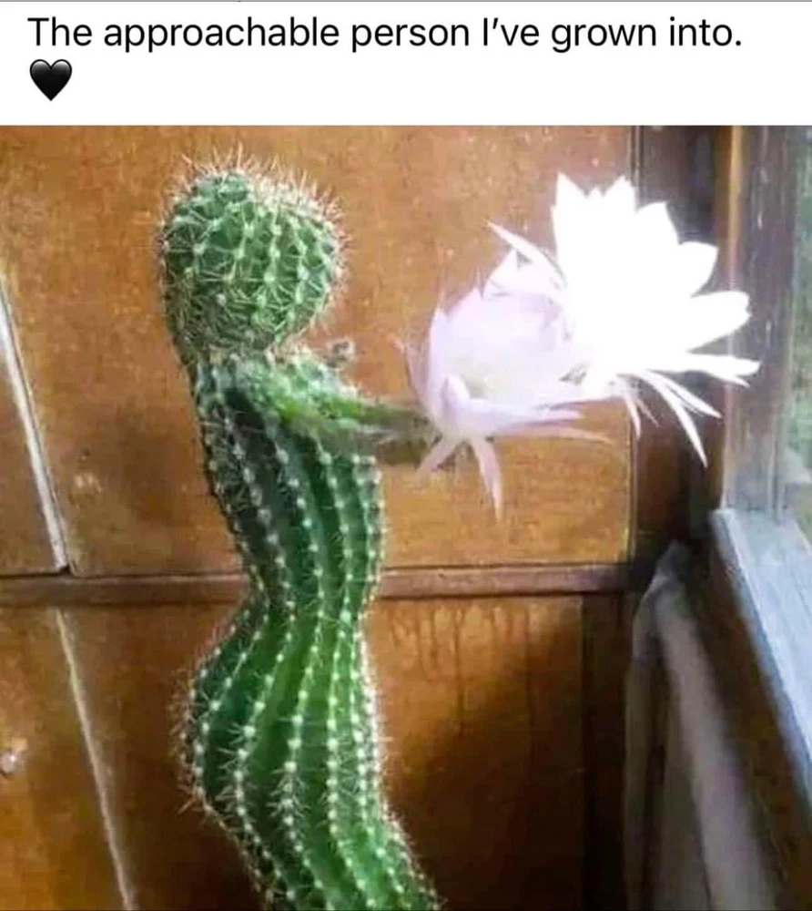 I-upload ni Lola ang larawan
