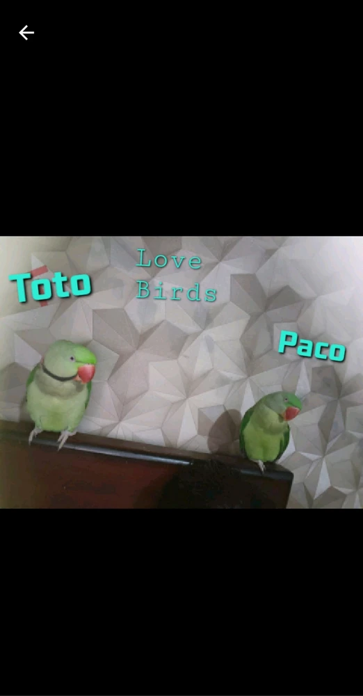 Harry Shergill द्वारा अपलोड की गई तस्वीर