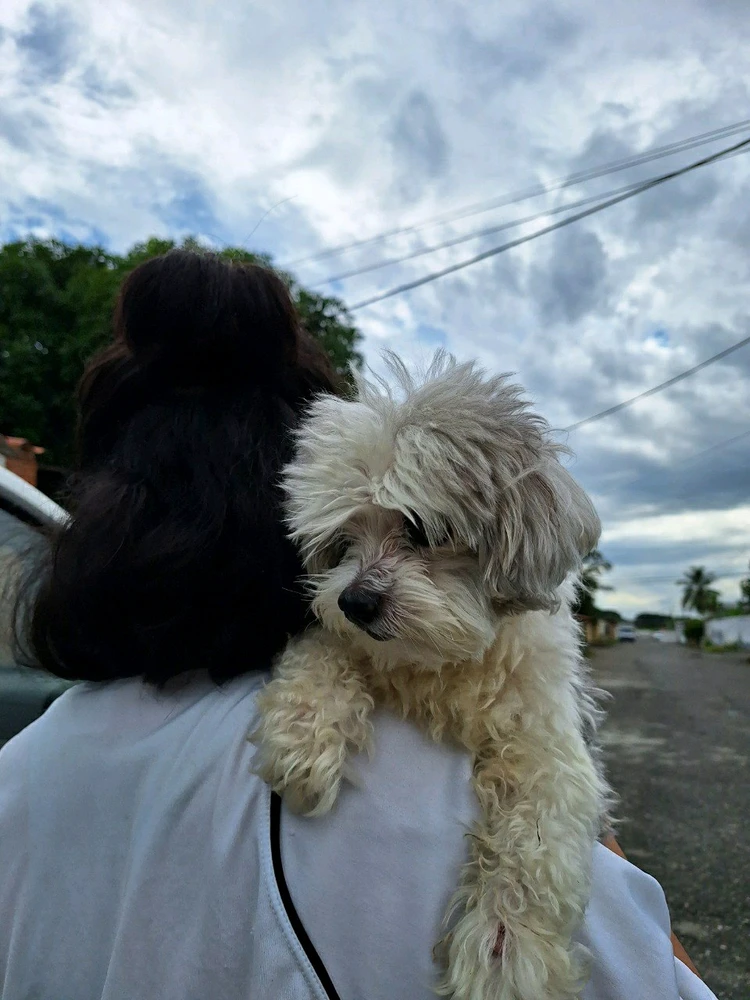 Image uploaded by Valen