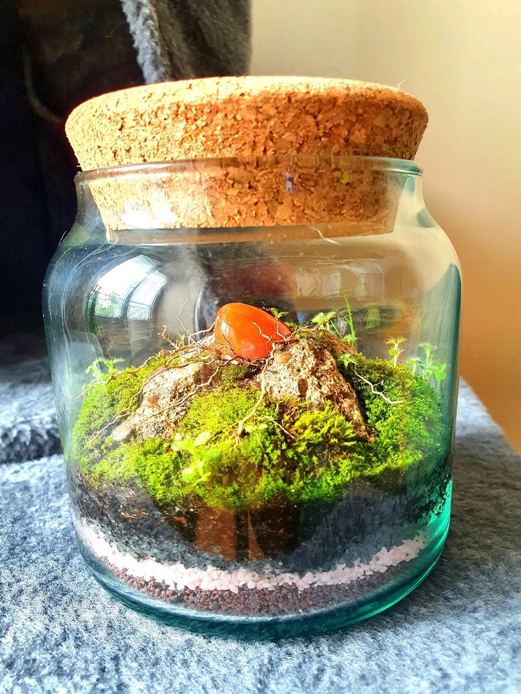 Image ajoutée par Daniel