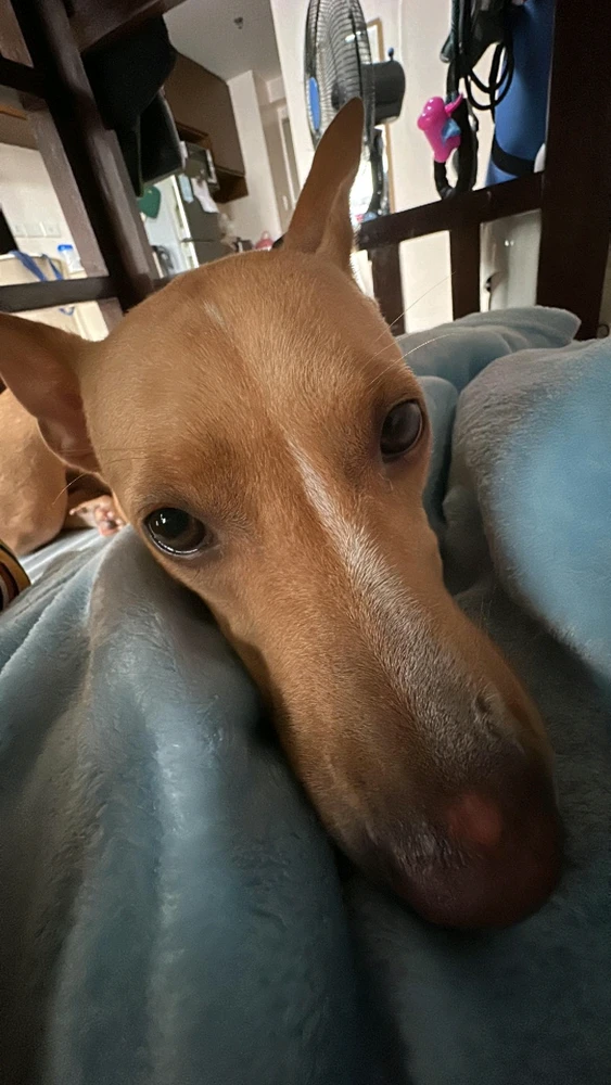 Image uploaded by Ten