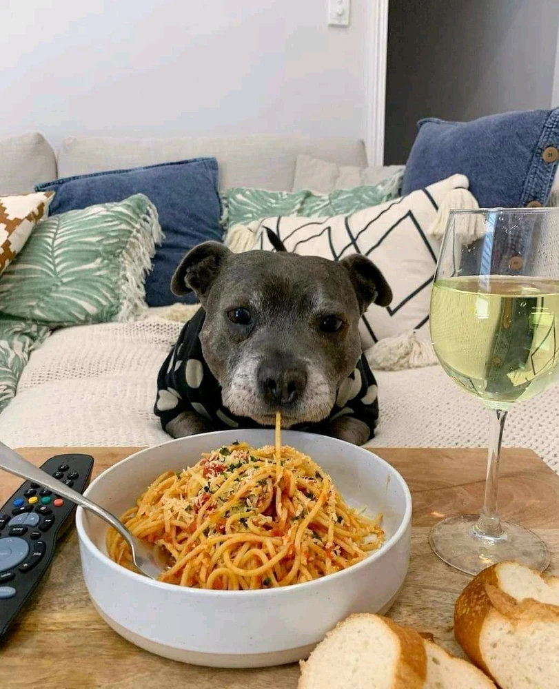 Zdjęcie dodane przez Maciek