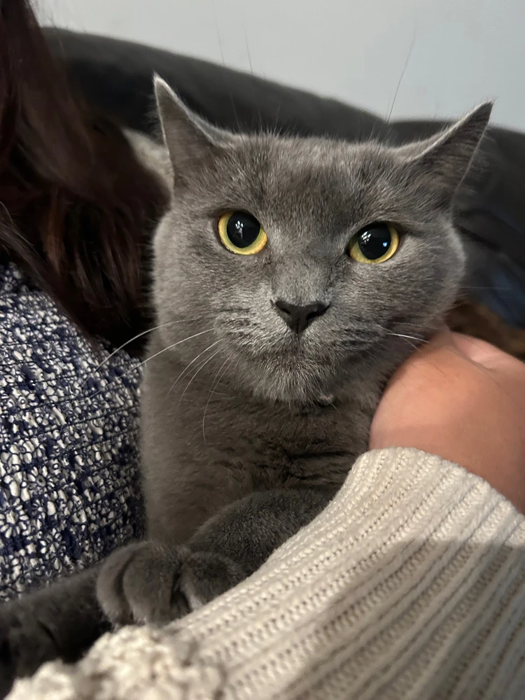 Image uploaded by Alyssa