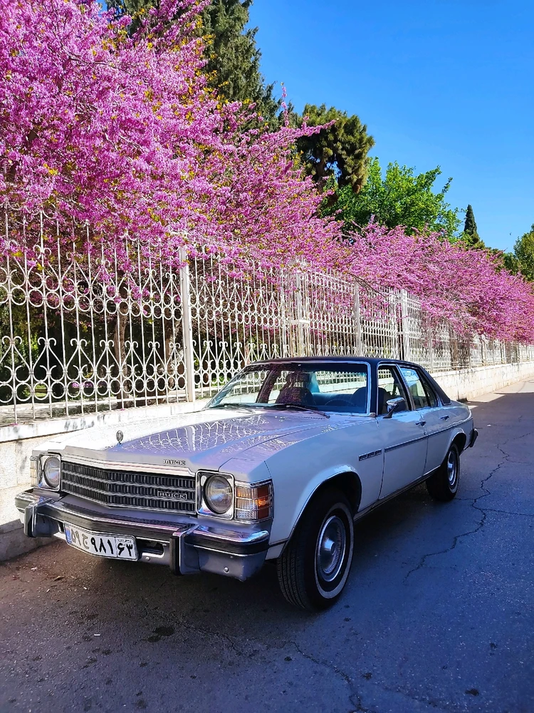 Image uploaded by Mehrshad