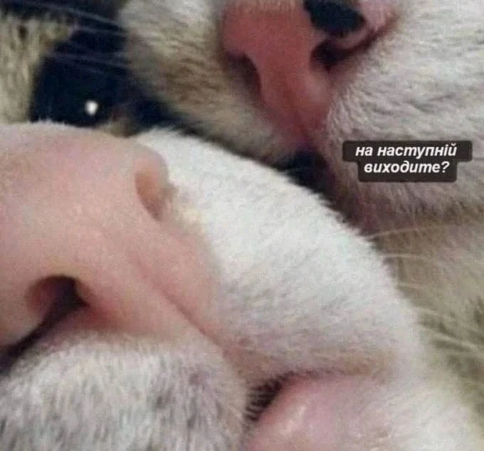 Зображення завантажив Влад