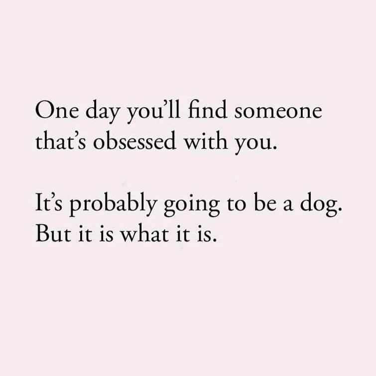 Afbeelding geüpload door Saar