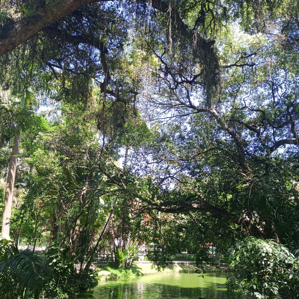 Image uploaded by Marcelo Raposo