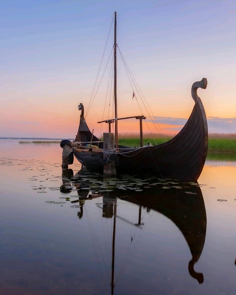 Vikingų laivas