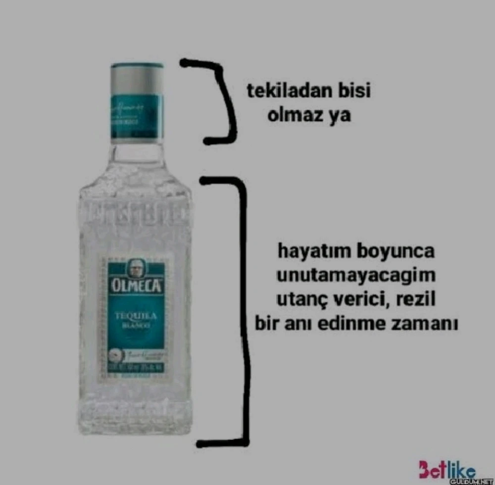 . tarafından yüklenen görsel