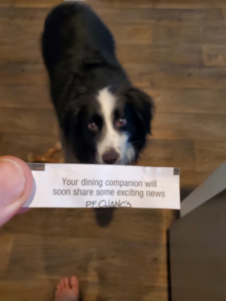 Image uploaded by Steven