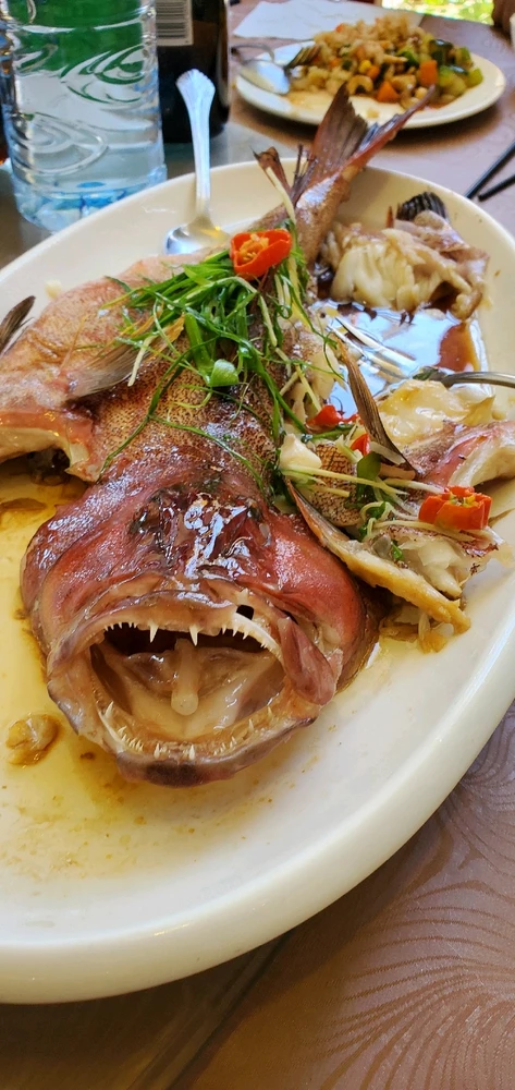 Image uploaded by Nameless