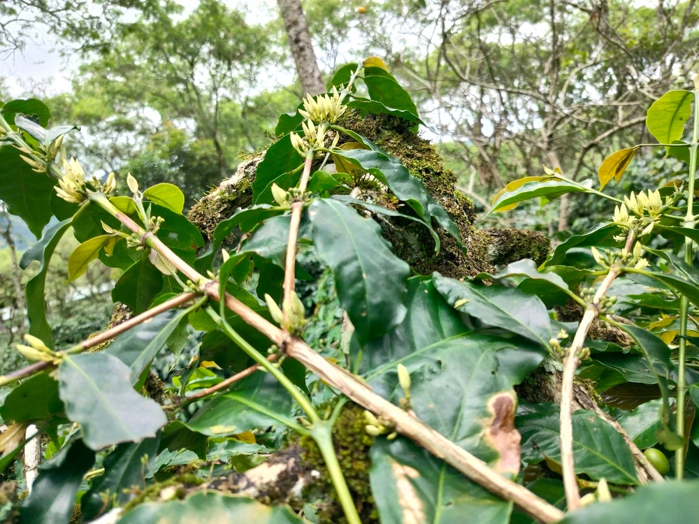 Gambar diunggah oleh ERsya