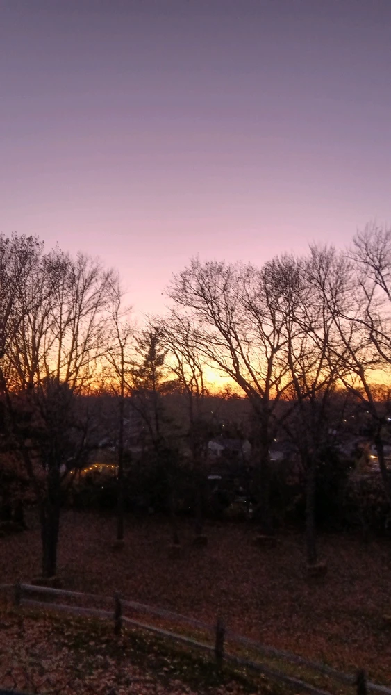 Image uploaded by Washington